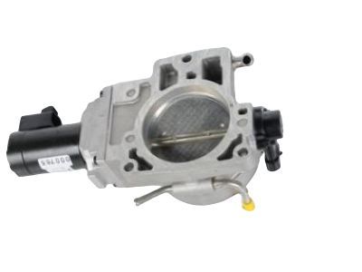 GM 17113669 Throttle Body