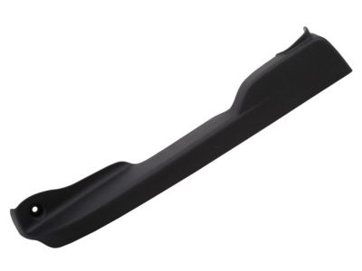 GM 23401654 Lower Trim, Black, Front