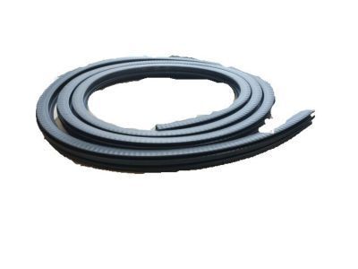 Chevy Avalanche 2500 Weather Strip - 15244247