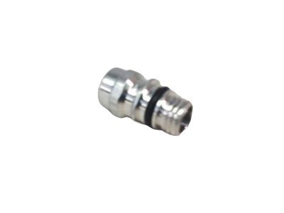 Chevy Silverado 1500 A/C System Valve Core - 52458184