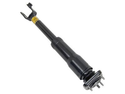 Cadillac 25884699 Shock