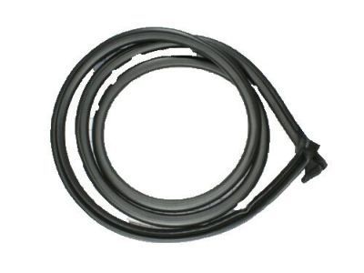 Chevy Express 2500 Weather Strip - 19259359