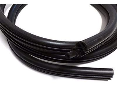 Chevy Uplander Weather Strip - 10449198