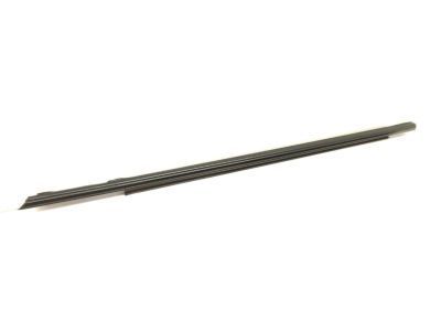 GM 10325226 Belt Weatherstrip, Black, Front Driver Side