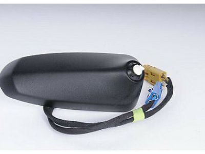 Chevy 20863980 Antenna