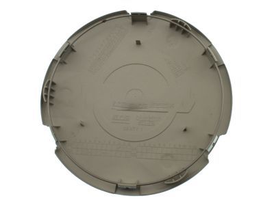GM 15712386 Hub Cap, Silver