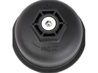 GM 15635473 Hub Cap, Black