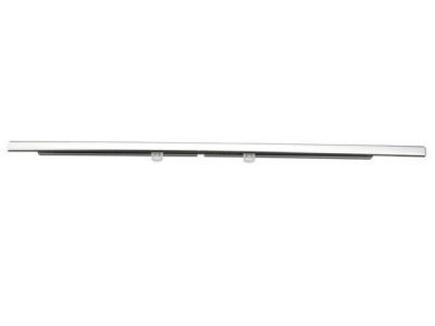 GM 84291967 Belt Molding, Front Driver Side