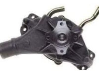 Chevy Silverado 1500 Water Pump - 89060527