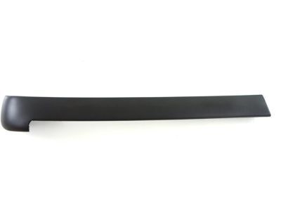 GM 15672223 Molding, Driver Side