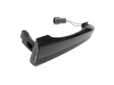GM 20869088 Handle, Outside, Front Driver Side