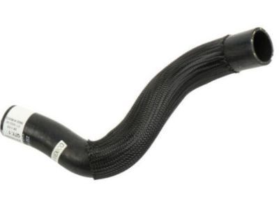GM 23105392 Outlet Hose, Lower