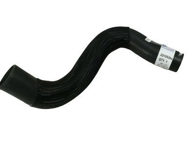 GM 23105392 Outlet Hose, Lower