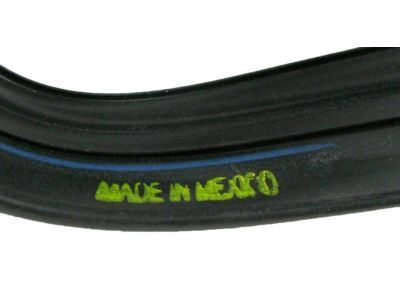 GM 20869144 Run Weatherstrip, Front Driver Side