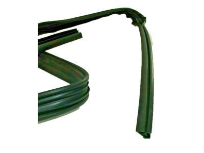 GM 20869144 Run Weatherstrip, Front Driver Side