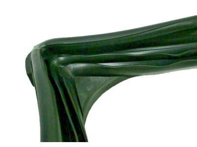 GM 20869144 Run Weatherstrip, Front Driver Side