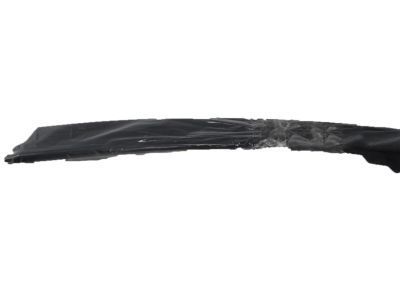 GM 21172100 Applique, Passenger Side