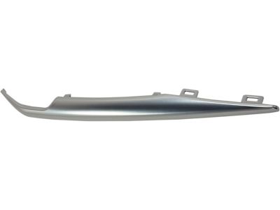 Cadillac 23445443 Lower Molding