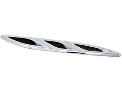 GM 20811309 Hood Ornament, Driver Side