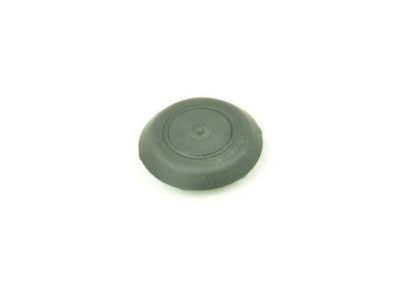 GM 15788083 Lift Gate Trim Plug