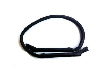 2004 Chevy Corvette Weather Strip - 10329158