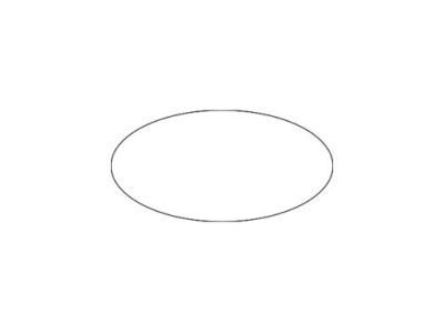 GM 15798231 Water Pipe Seal