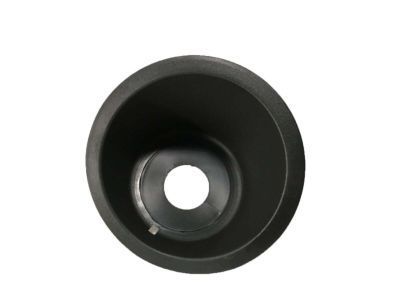 GM 15794626 Fuel Pocket