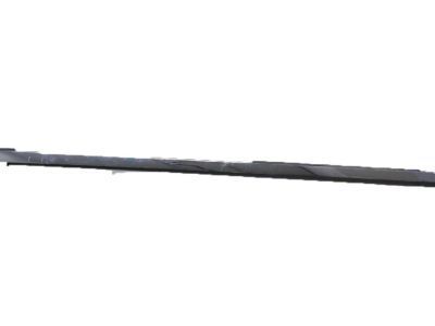 GM 15876405 Body Side Molding, Outer Driver Side