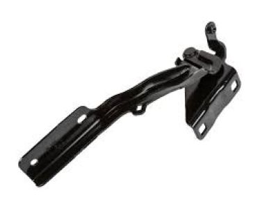 GM 19317757 Hinge, Passenger Side