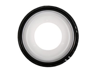 GM 89060436 Rear Main Seal