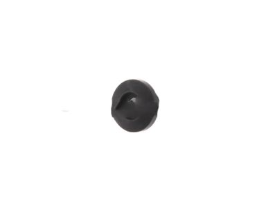 GM 14047336 Hinge Retainer, Rear