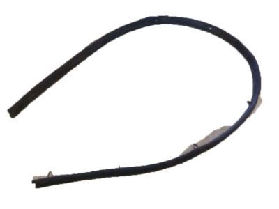Chevy Express 3500 Weather Strip - 25760644