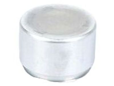 GM 10366555 Piston, Front