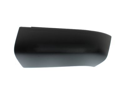 GM 15215525 Applique, Rear Driver Side
