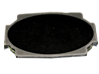 GM 15173233 Rear Speaker
