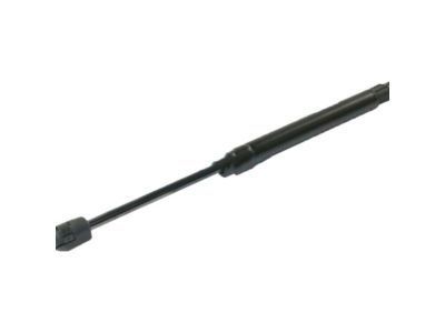 GM 10342308 Lift Cylinder, Rear