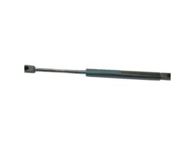 GM 10342308 Lift Cylinder, Rear