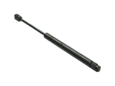 GM 10342308 Lift Cylinder, Rear