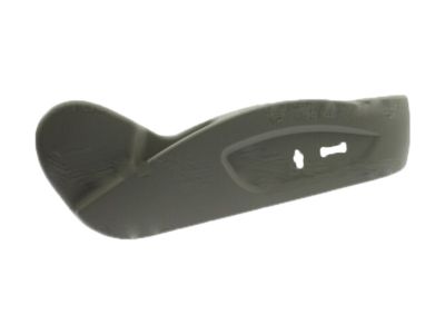 Buick 22756439 Outer Finish Panel