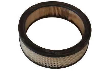 Oldsmobile Custom Cruiser Air Filter - 25040881