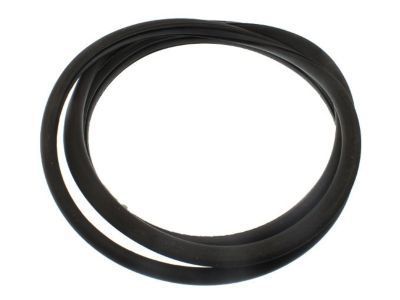 2006 Chevy Trailblazer Weather Strip - 25917746