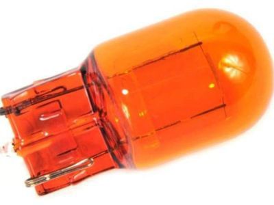Chevy Trailblazer Headlight Bulb - 13596817