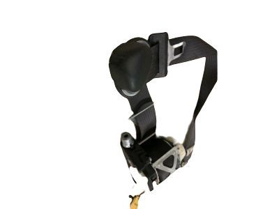 GM 19208827 Lap & Shoulder Belt, Rear