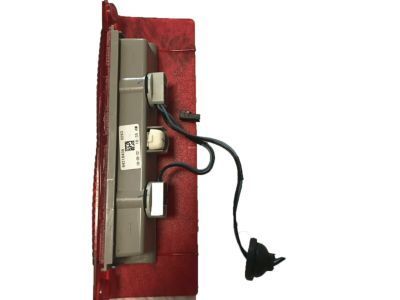 GM 84218439 High Mount Lamp