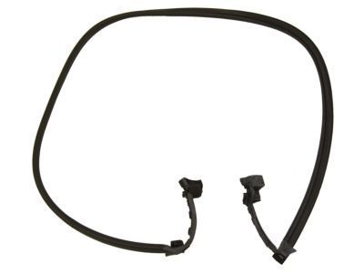 GM 23493716 Weatherstrip On Body, Driver Side
