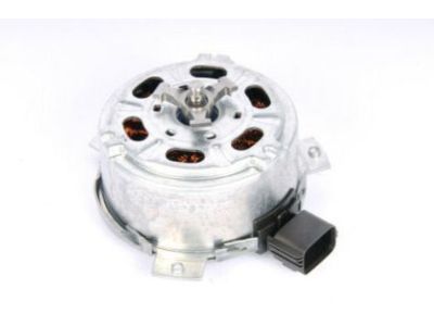 Chevy Fan Motor - 22780241