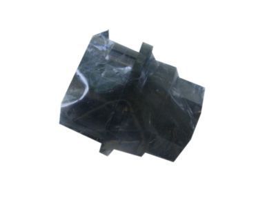 GM 9595120 Wheel Nut, Black