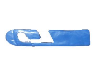GM 10255634 Nameplate, Bright Red, Front