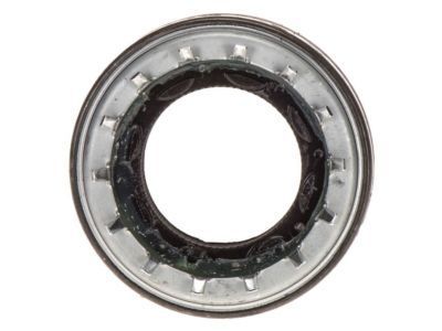 GM 19257296 Seal, Front Inner Driver Side