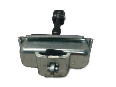 GM 15286624 Door Check, Front